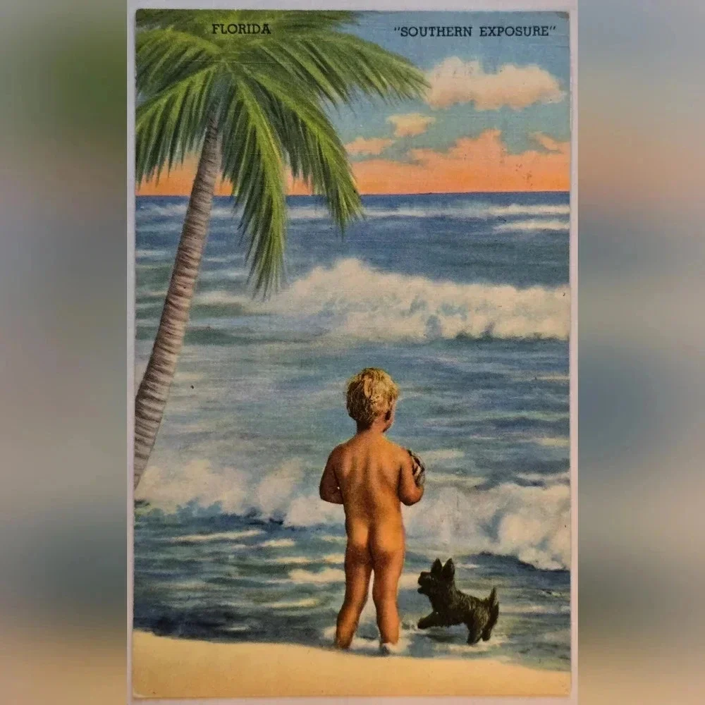 Lot of 3 Fabulous Vintage FLORIDA Postcards